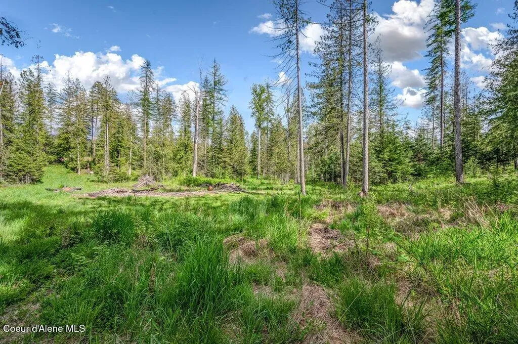 Nna Oleander Dr., Lot 1 Sandpoint ID 83864