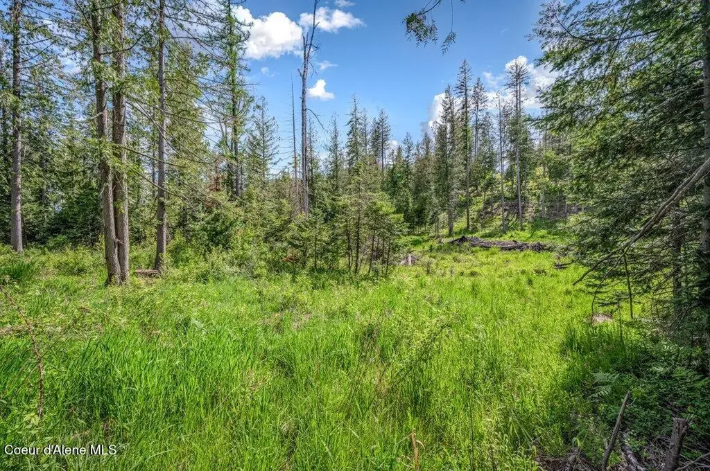 Nna Oleander Dr., Lot 1 Sandpoint ID 83864