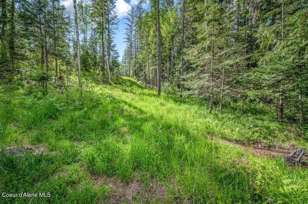 Nna Oleander Dr., Lot 1 Sandpoint ID 83864