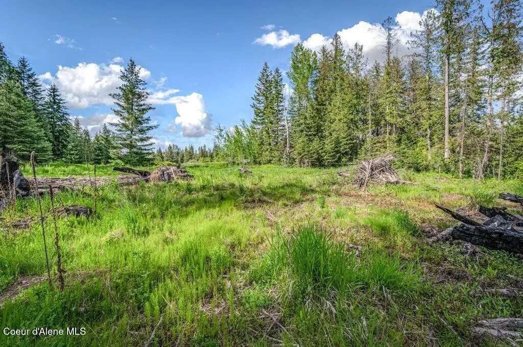 Nna Oleander Dr., Lot 1 Sandpoint ID 83864