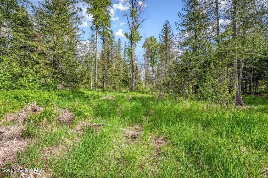 Nna Oleander Dr., Lot 1 Sandpoint ID 83864