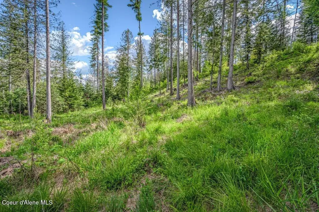Nna Oleander Dr., Lot 1 Sandpoint ID 83864