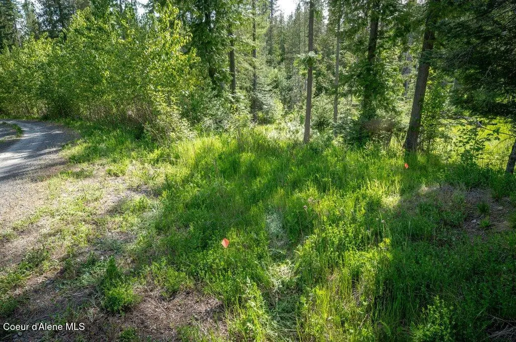 Nna Oleander Dr., Lot 1 Sandpoint ID 83864