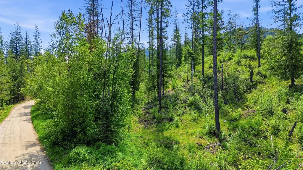 Nka Jewel Lake Road Sagle ID 83860