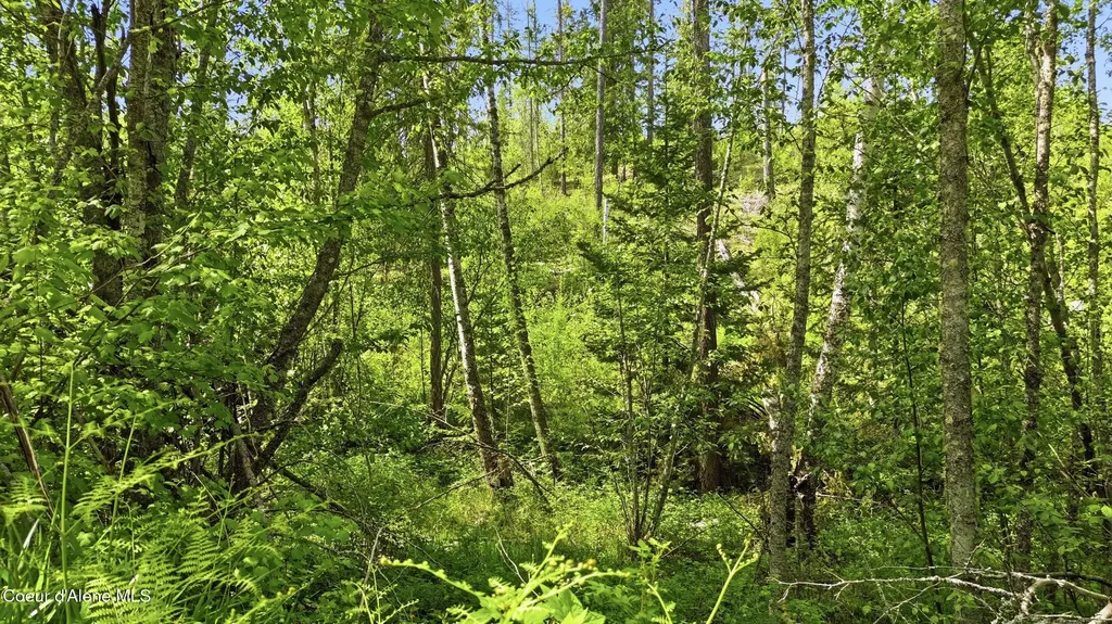 Nka Jewel Lake Road Sagle ID 83860