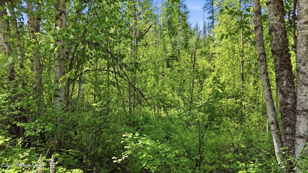 Nka Jewel Lake Road Sagle ID 83860