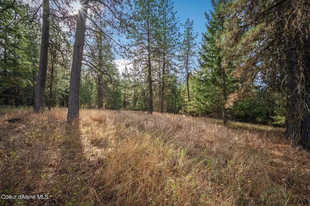 Nka 10ac Becky Lane Worley ID 83876
