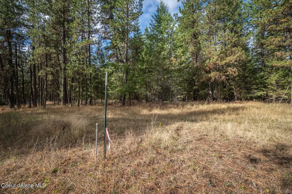 Nka 10ac Becky Lane Worley ID 83876