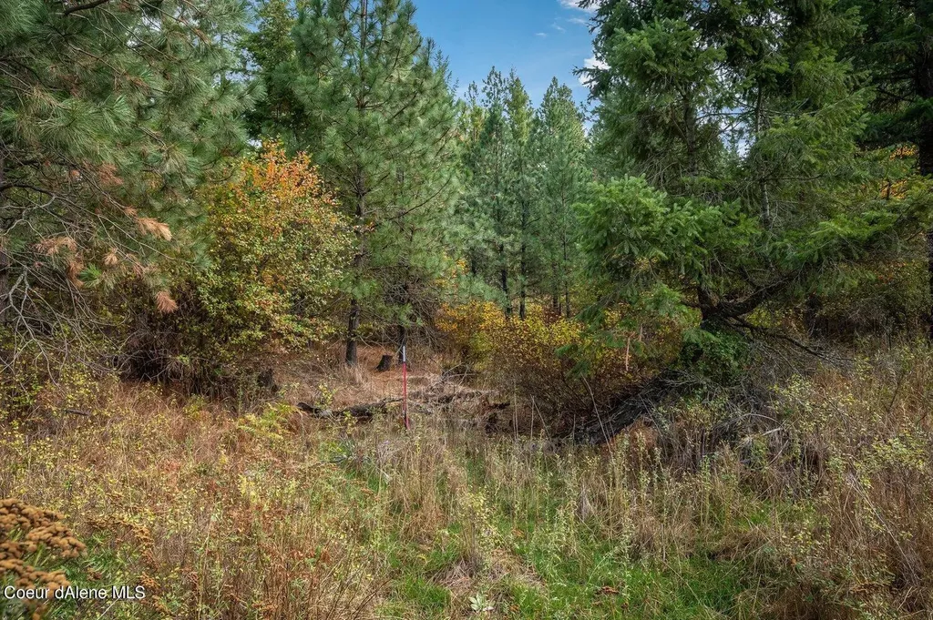 Nka 10ac Becky Lane Worley ID 83876