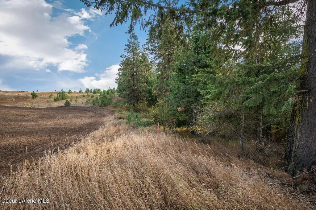 Nka 10ac Becky Lane Worley ID 83876