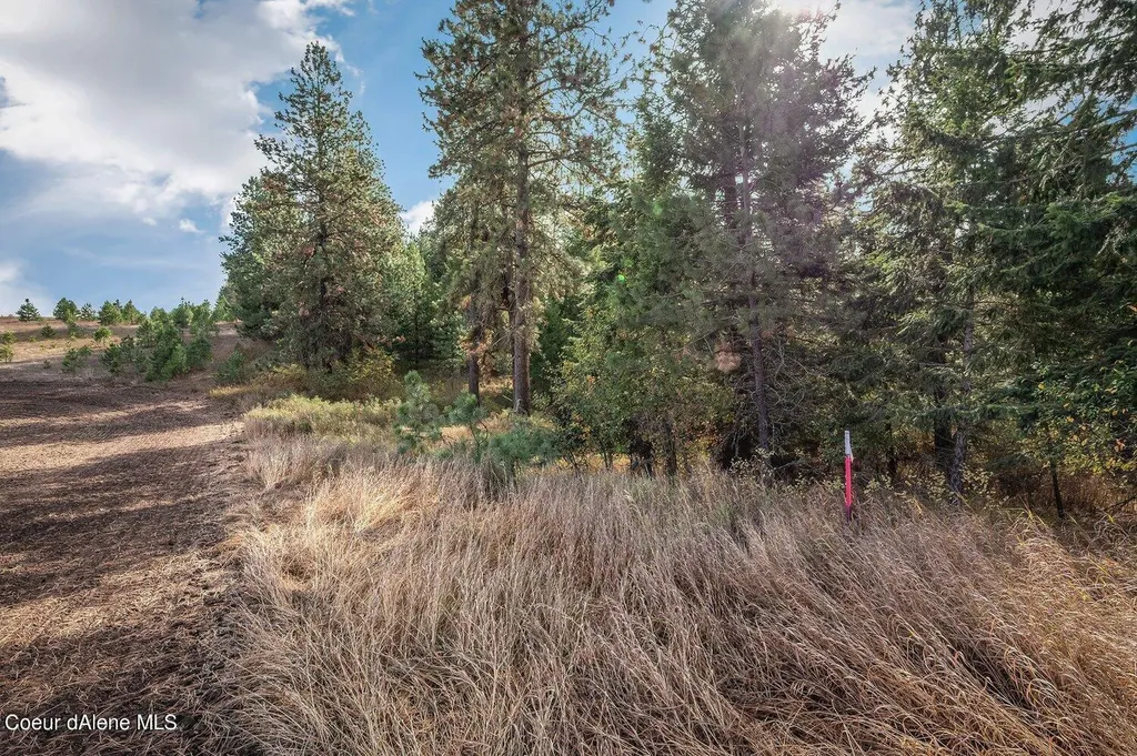 Nka 10ac Becky Lane Worley ID 83876