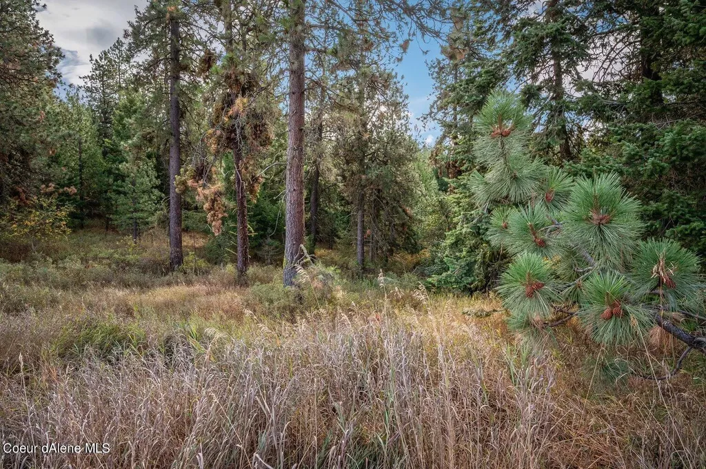 Nka 10ac Becky Lane Worley ID 83876