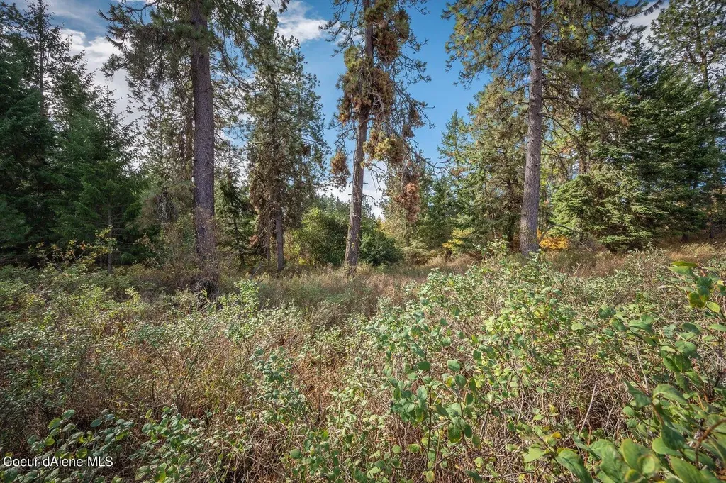 Nka 10ac Becky Lane Worley ID 83876