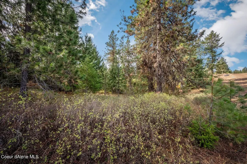 Nka 10ac Becky Lane Worley ID 83876