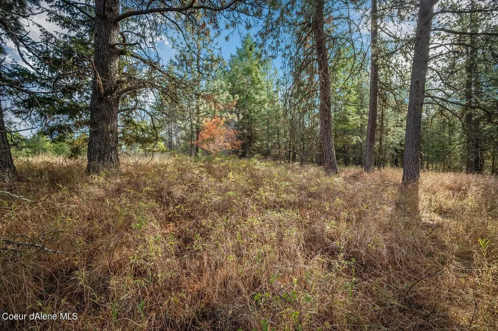 Nka 10ac Becky Lane Worley ID 83876