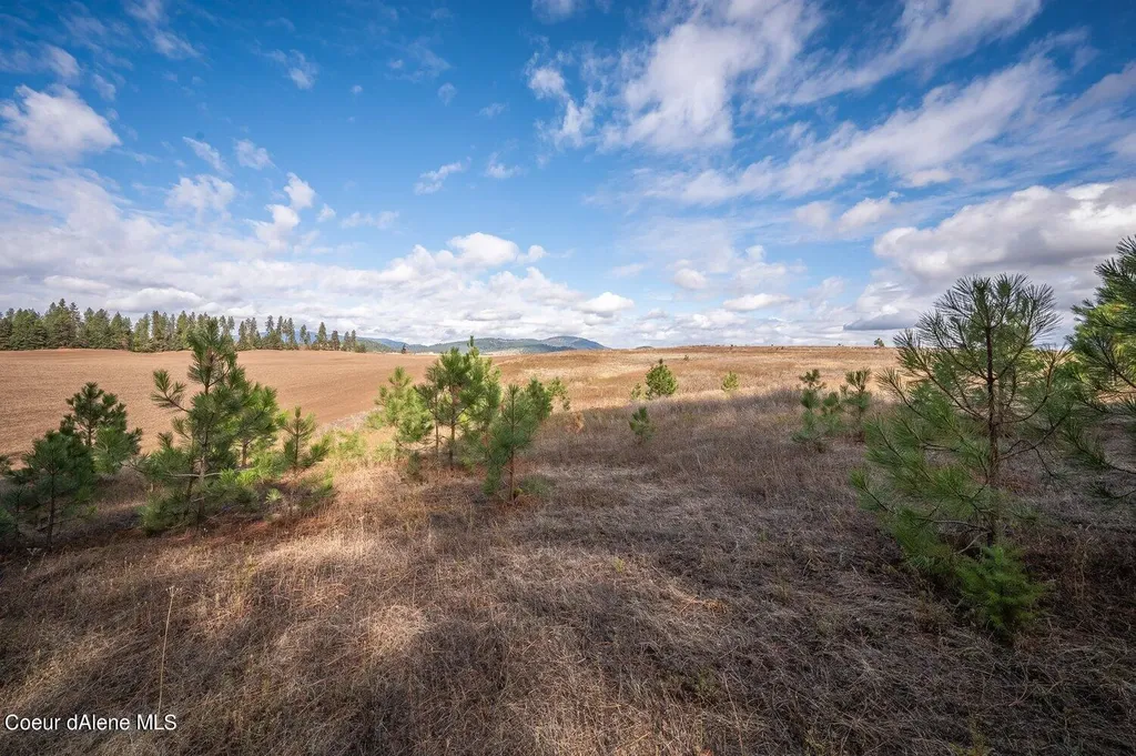 Nka 10ac Becky Lane Worley ID 83876