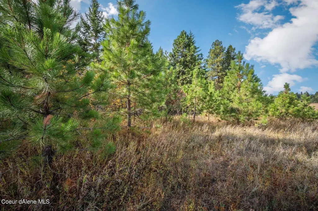 Nka 10ac Becky Lane Worley ID 83876