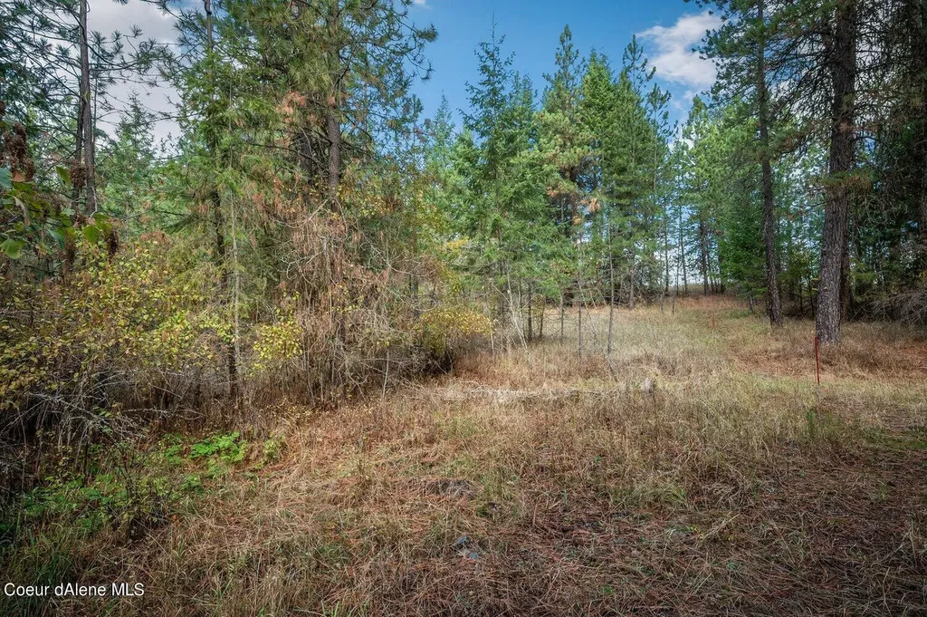 Nka 10ac Becky Lane Worley ID 83876