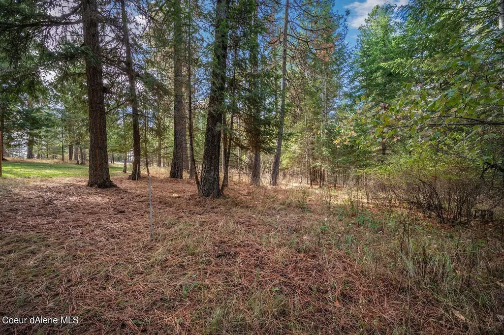 Nka 10ac Becky Lane Worley ID 83876