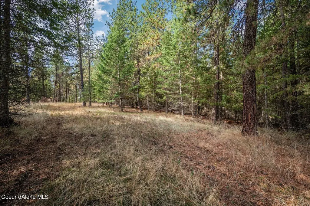 Nka 10ac Becky Lane Worley ID 83876