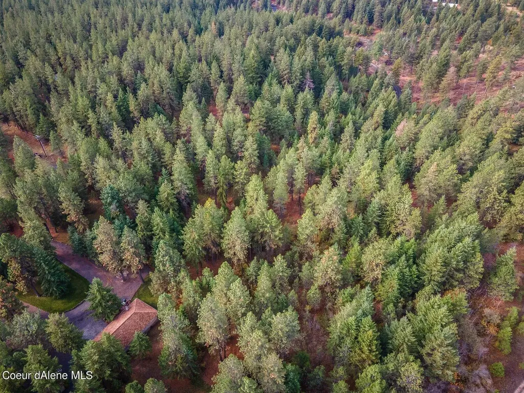 Nka 10ac Becky Lane Worley ID 83876