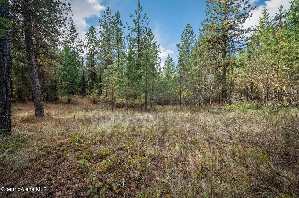 Nka 10ac Becky Lane Worley ID 83876