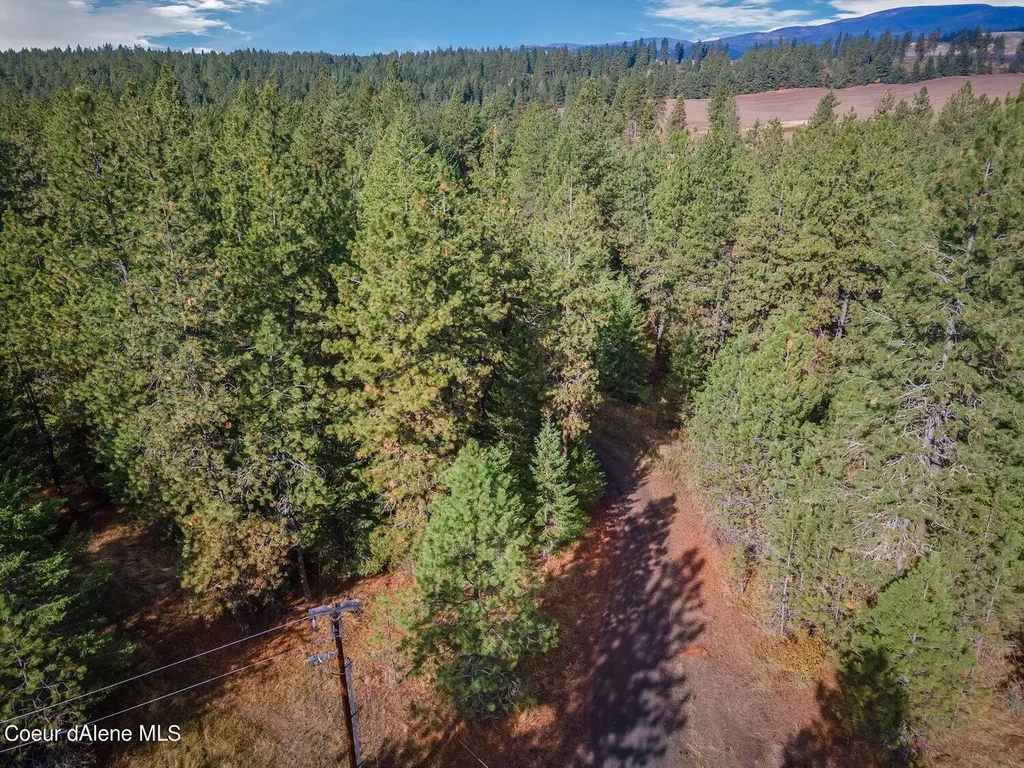 Nka 10ac Becky Lane Worley ID 83876