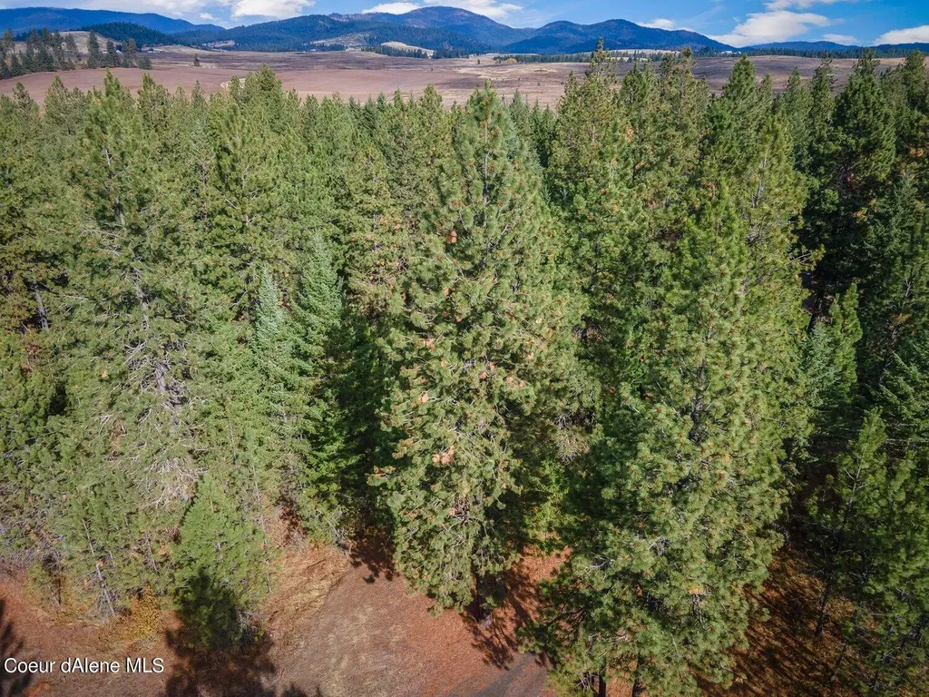 Nka 10ac Becky Lane Worley ID 83876