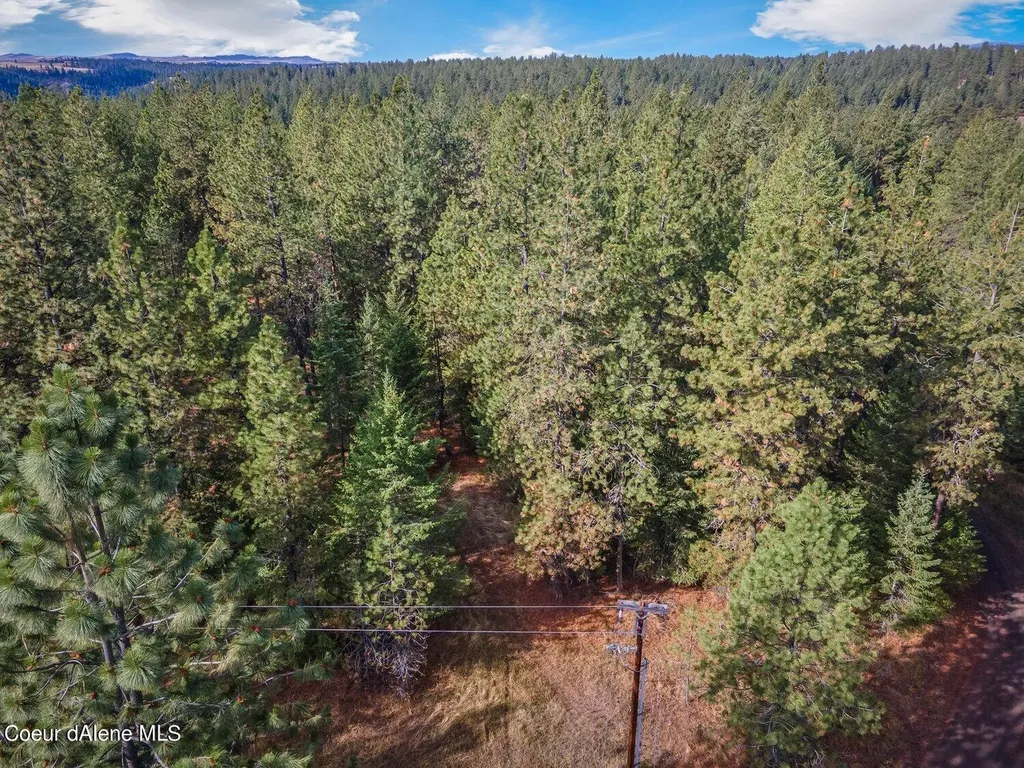 Nka 10ac Becky Lane Worley ID 83876