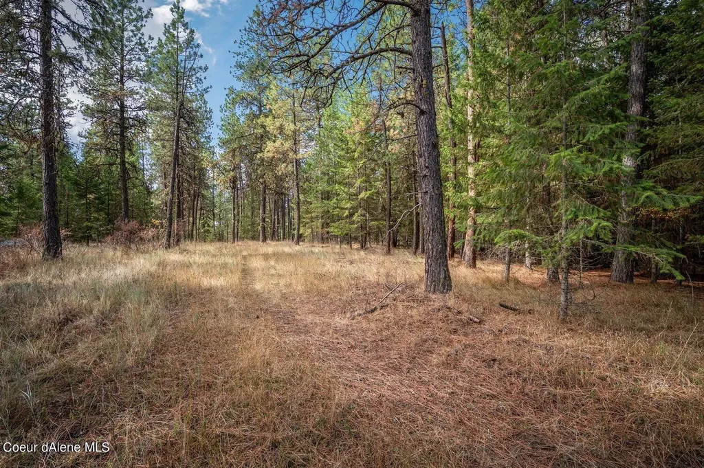 Nka 10ac Becky Lane Worley ID 83876