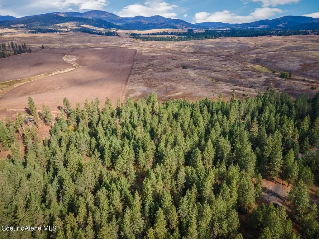 Nka 10ac Becky Lane Worley ID 83876