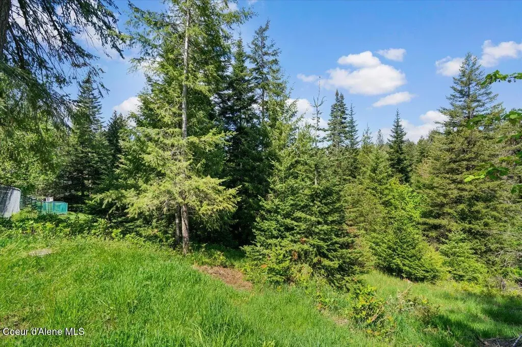 11901 N Eastshore Drive Hayden ID 83835