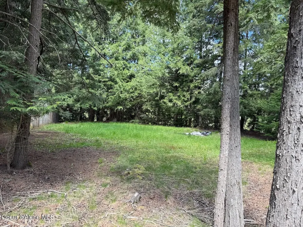 8213 Rapid Lightning Road Sandpoint ID 83864