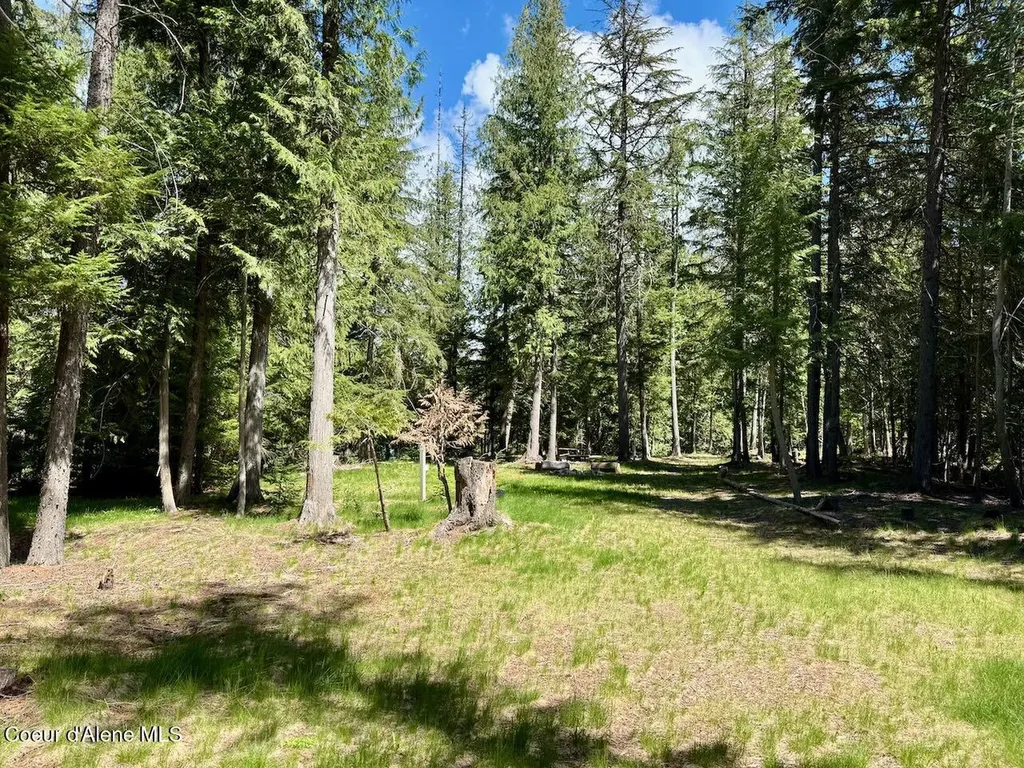 8213 Rapid Lightning Road Sandpoint ID 83864