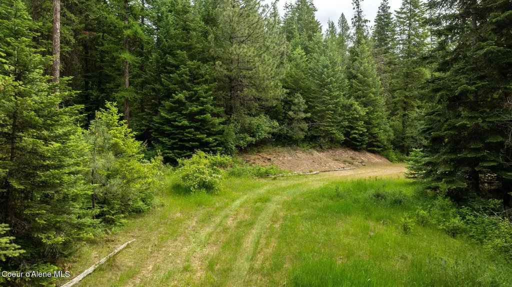 3232 Hells Gulch Road St. Maries ID 83861