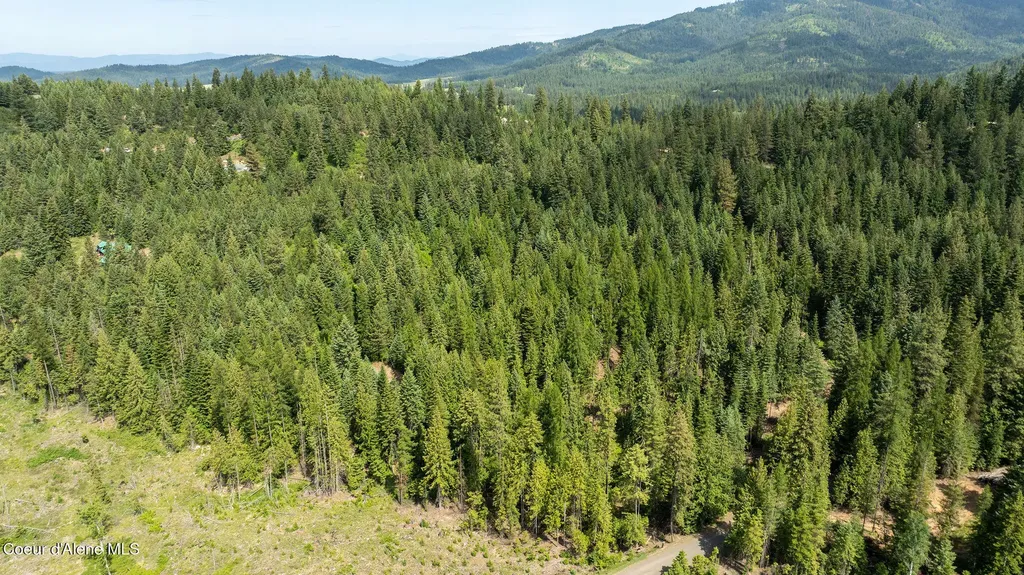 3232 Hells Gulch Road St. Maries ID 83861
