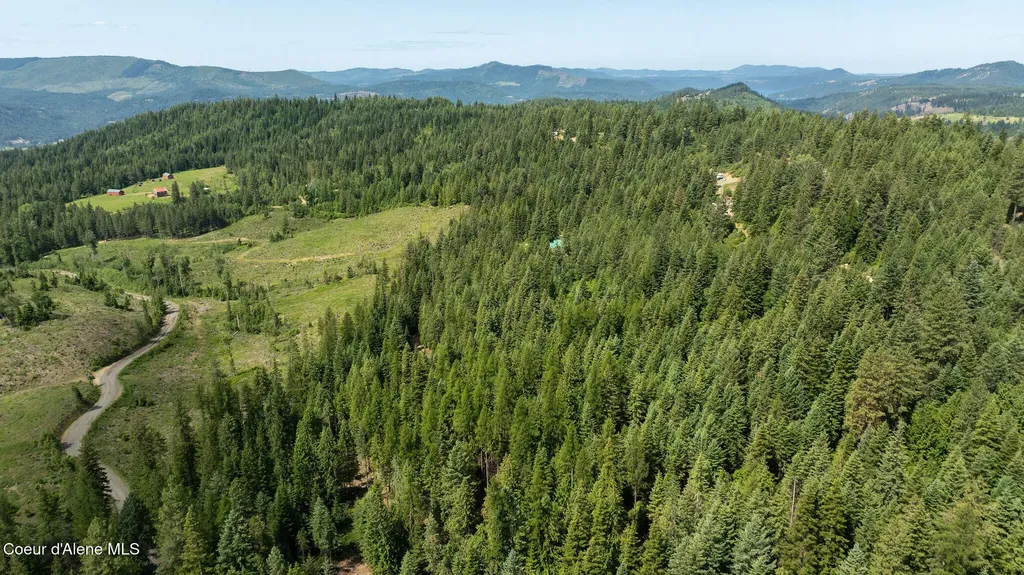 3232 Hells Gulch Road St. Maries ID 83861