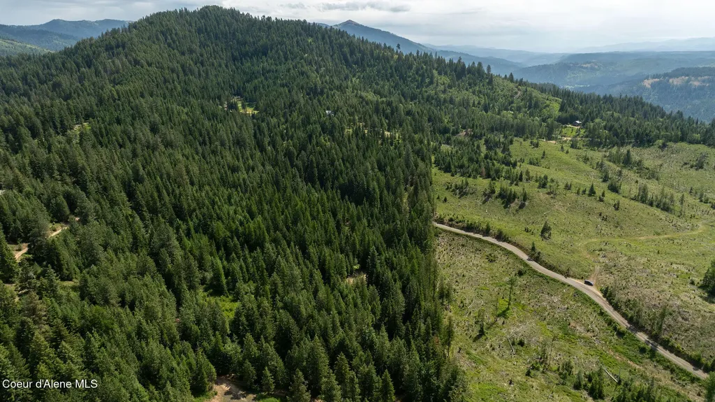 3232 Hells Gulch Road St. Maries ID 83861