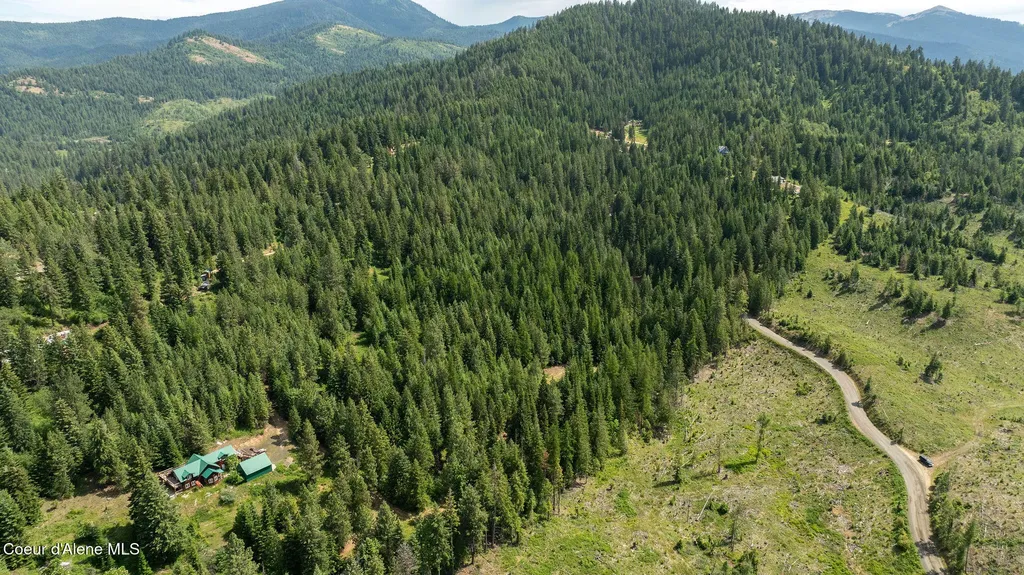3232 Hells Gulch Road St. Maries ID 83861