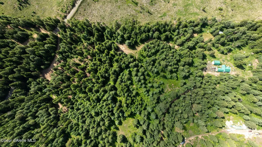 3232 Hells Gulch Road St. Maries ID 83861