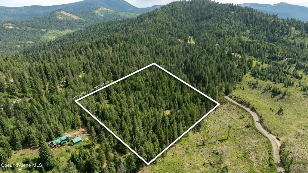 3232 Hells Gulch Road St. Maries ID 83861