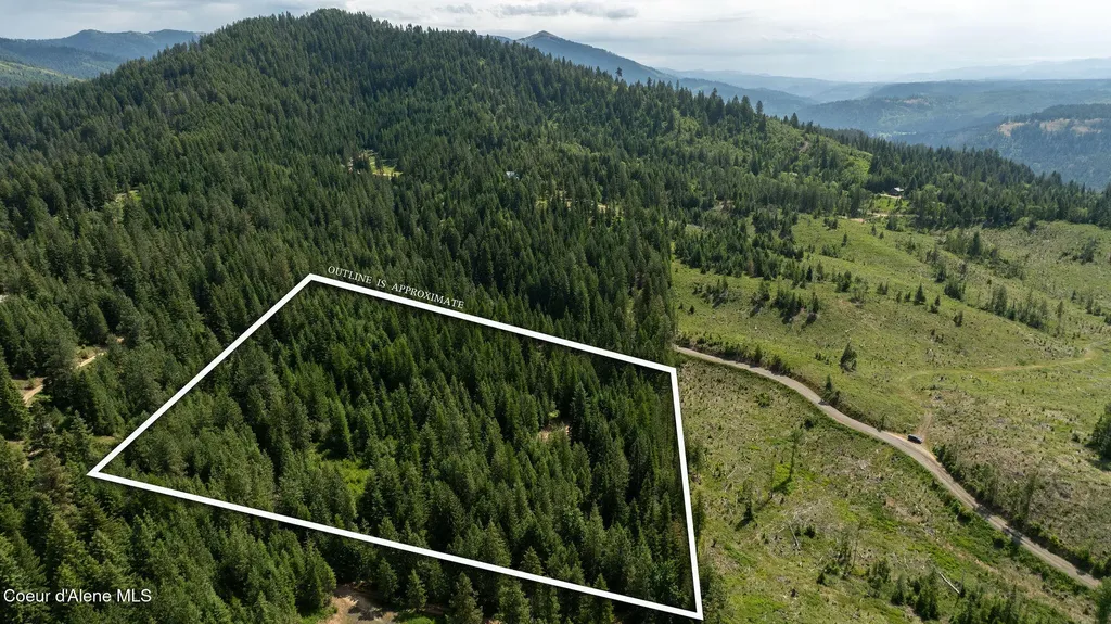3232 Hells Gulch Road St. Maries ID 83861