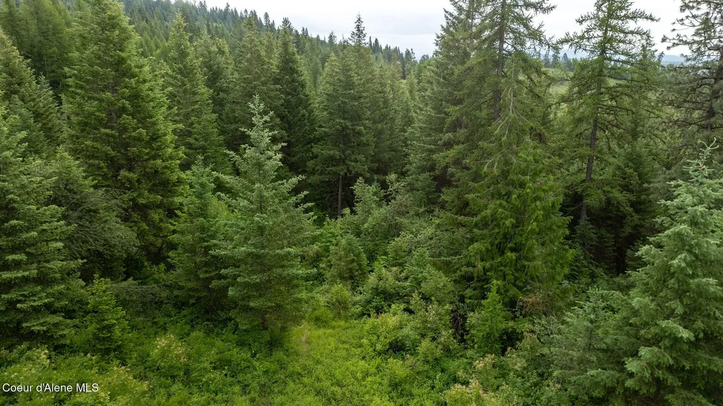 3232 Hells Gulch Road St. Maries ID 83861