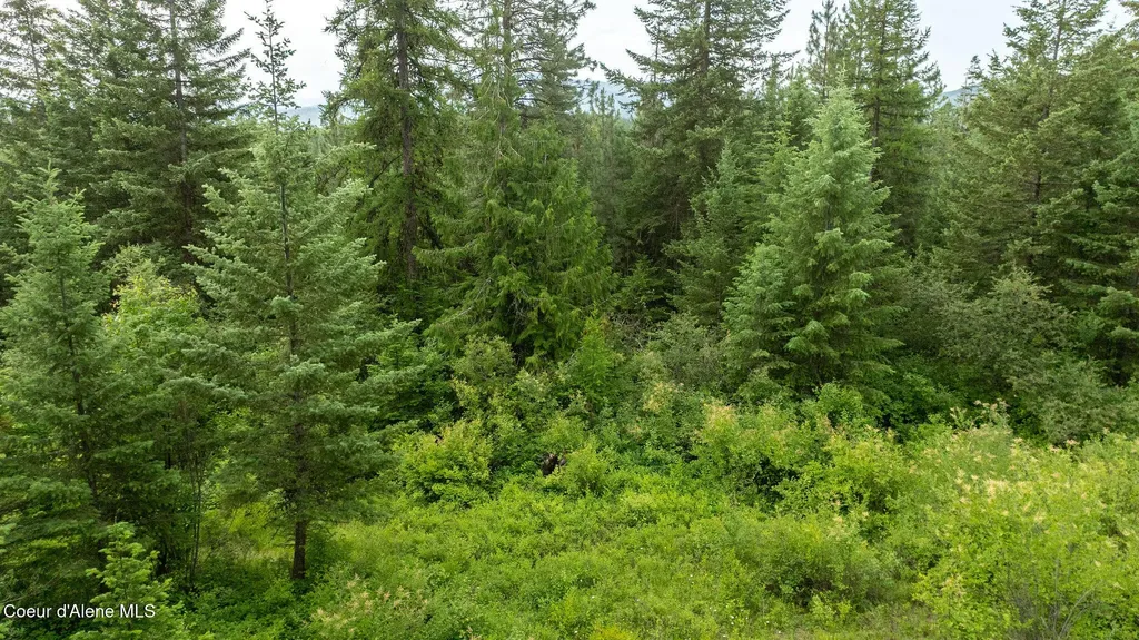 3232 Hells Gulch Road St. Maries ID 83861