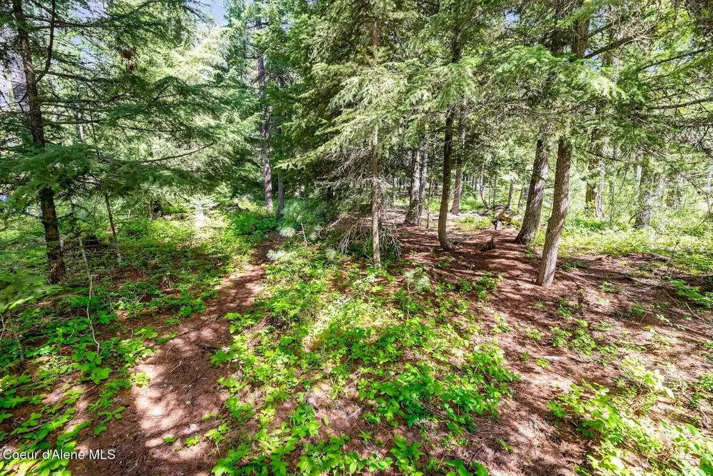 97 N Ryan Road Priest Lake ID 83856