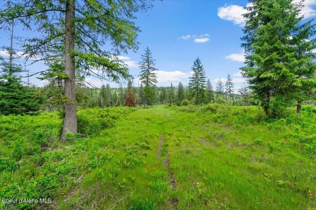572 Foote Road Tensed ID 83870