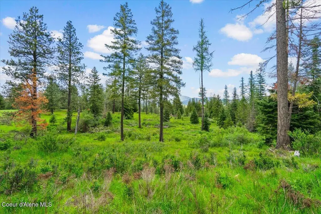 572 Foote Road Tensed ID 83870