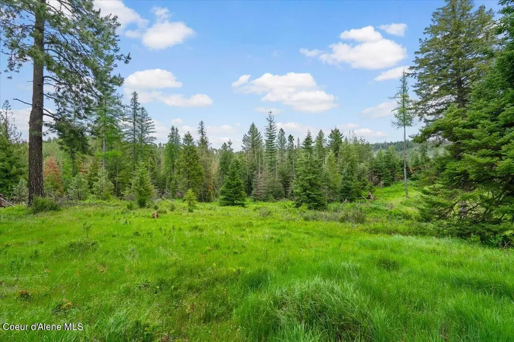 572 Foote Road Tensed ID 83870