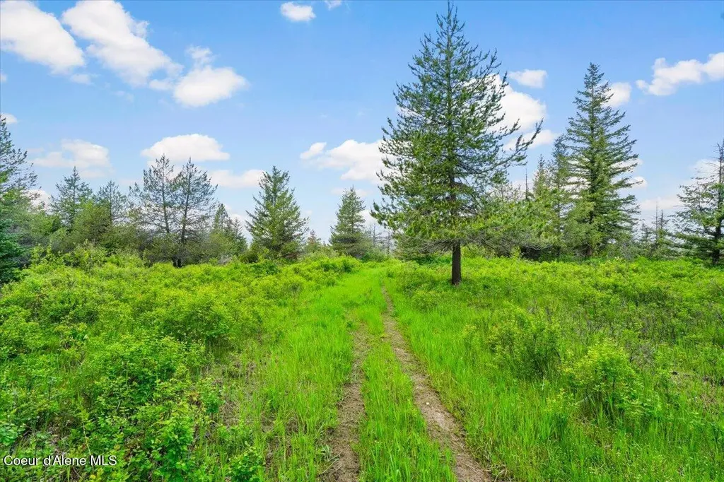 572 Foote Road Tensed ID 83870