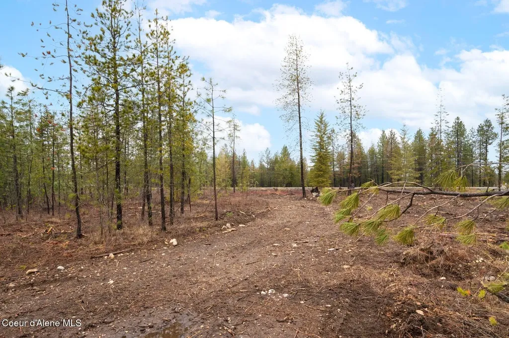 L6B1 N Mountain View Road Rathdrum ID 83858